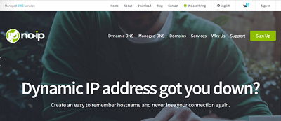 no-ip.com Login Page