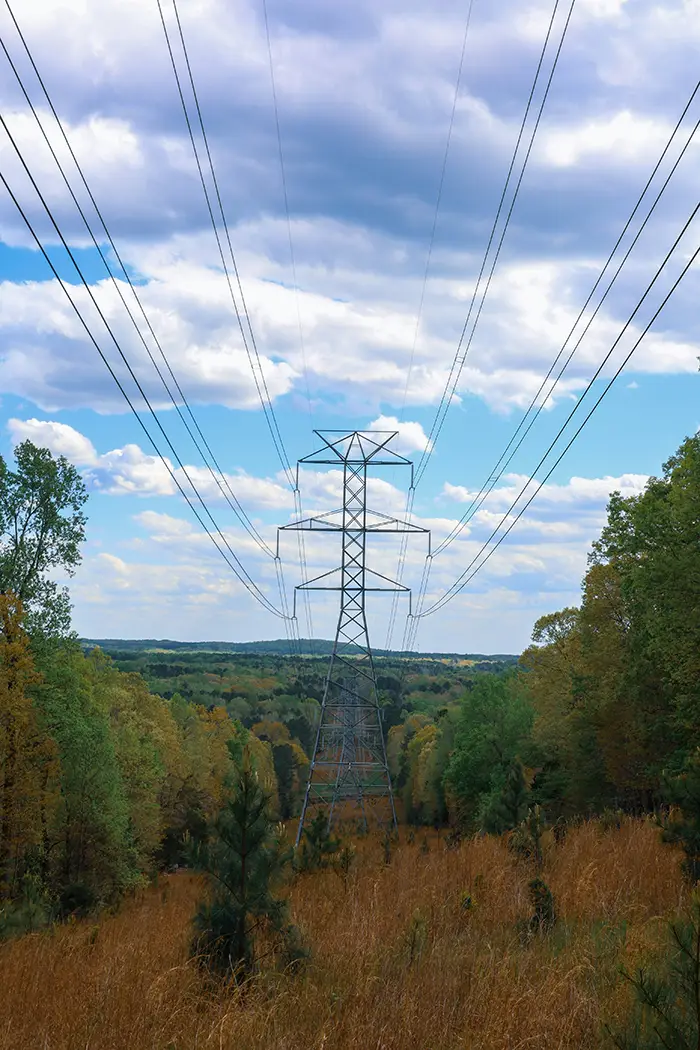 Inspection of powerlines